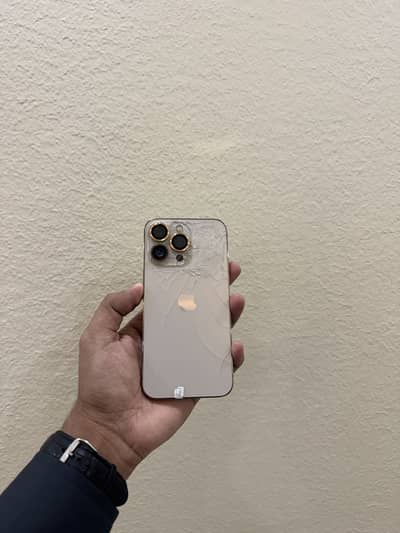 Apple iPhone 13 Pro