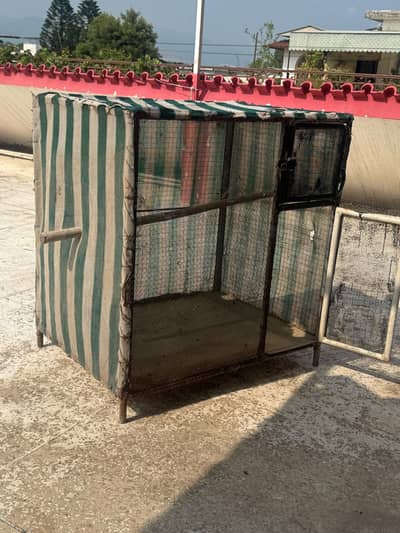 Hen and puppy cage