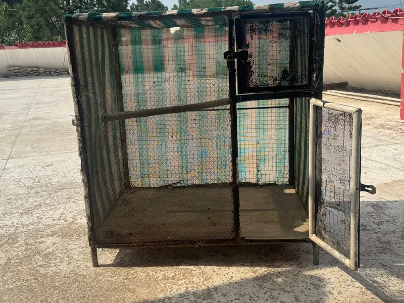 Hen and puppy cage — photo 2