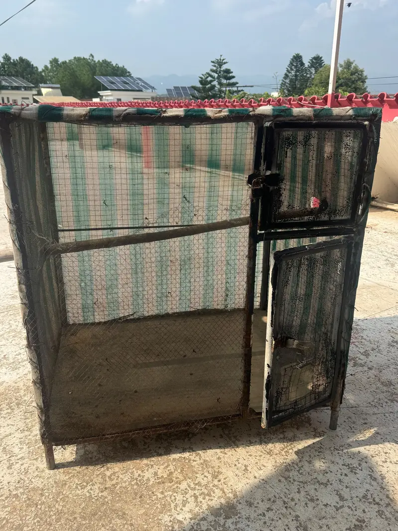 Hen and puppy cage — photo 3