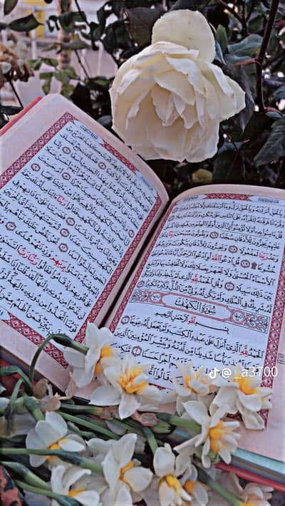 Female  Quran . Nazra tajweed   hifz  tarjumma and noorani quida class