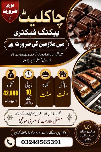 Chocolate packing factory