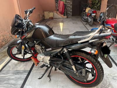 YAMAHA || YBR 125 || Edition || Model 2019