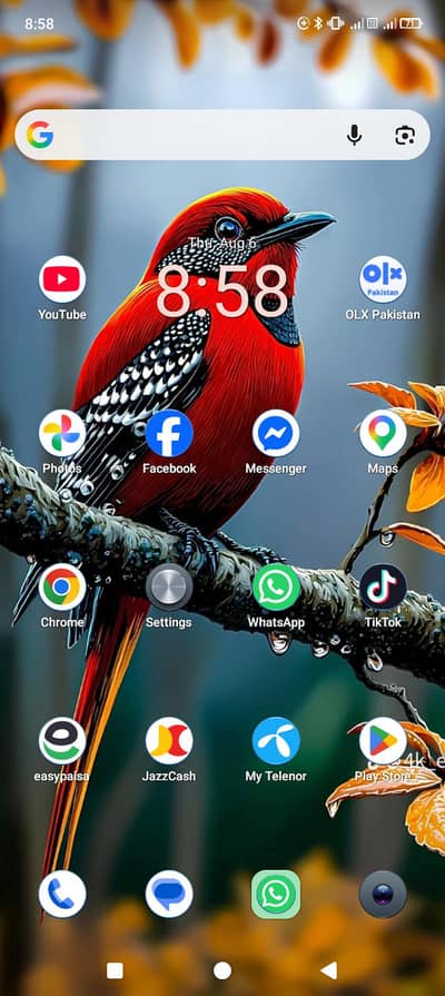 Dcode Cygnal 4 Pro