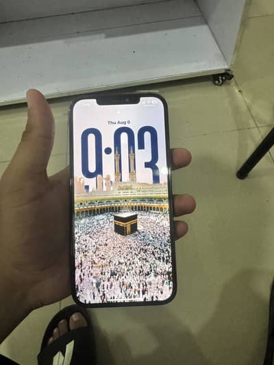 Apple iPhone 12 Pro Max