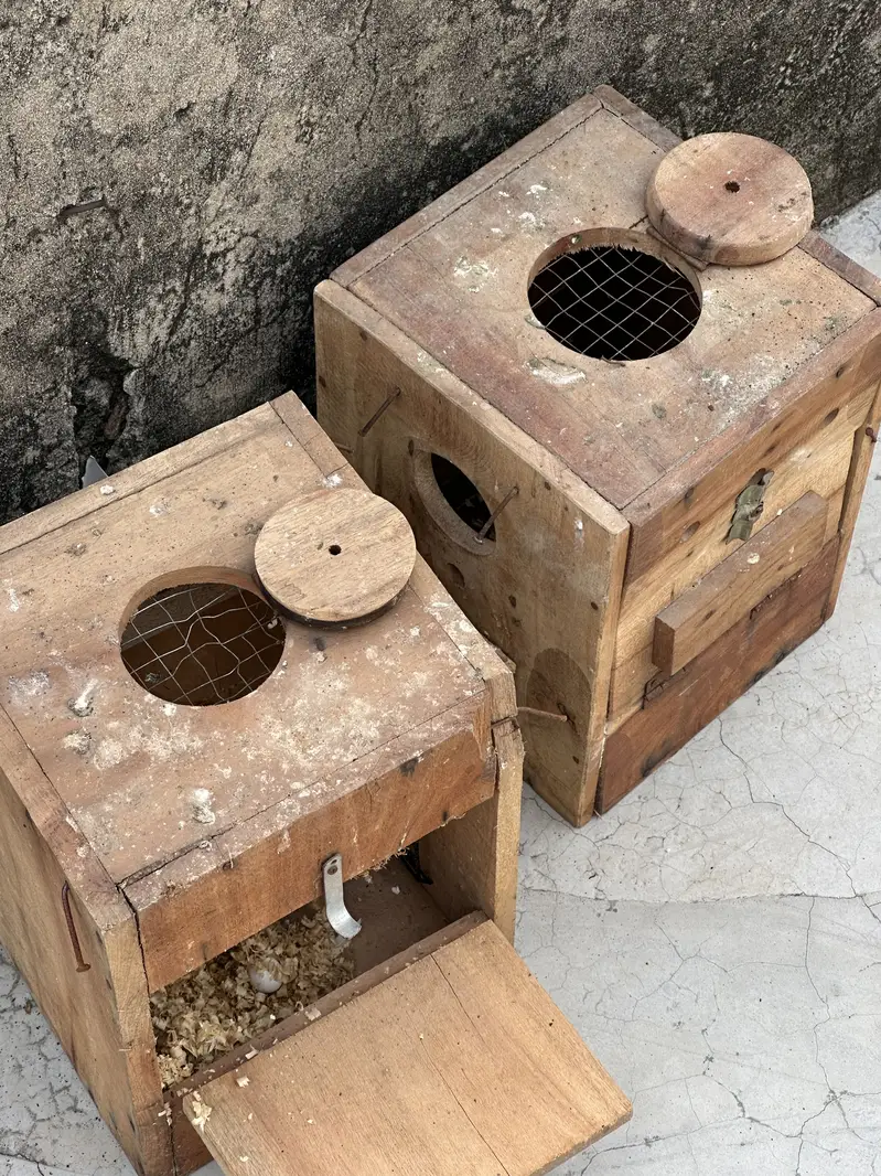 Birds Seed and water Pots / breeding boxes / wooden cage — photo 7