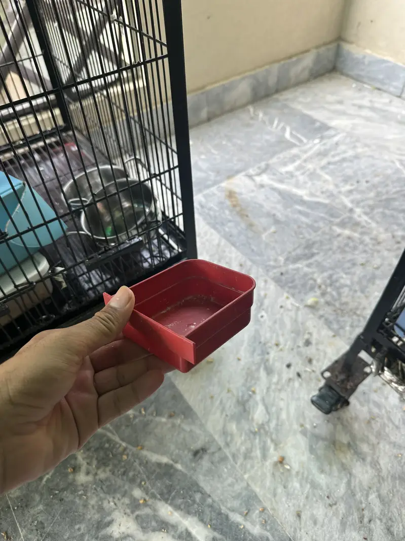 Birds Seed and water Pots / breeding boxes / wooden cage — photo 9