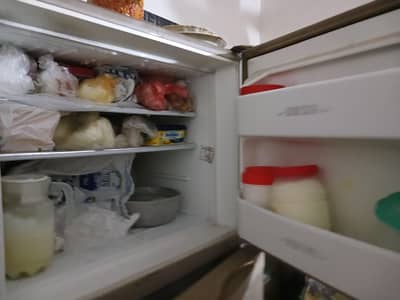 dawalance medium size fridge