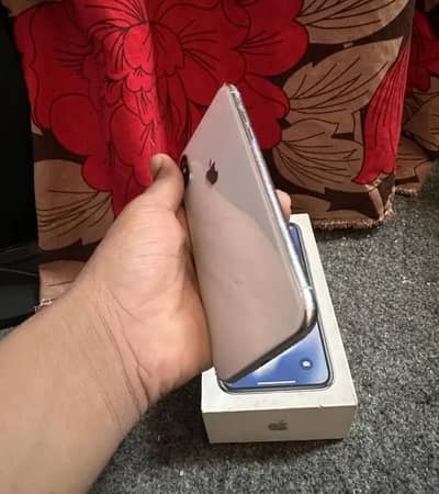 Apple iPhone X