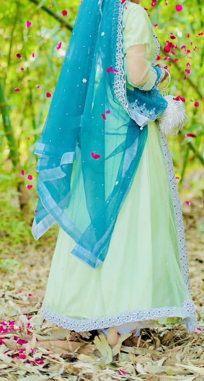 Walima maxi