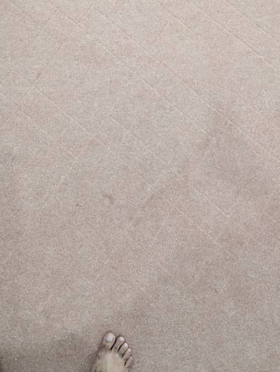 Carpet for Bedroom