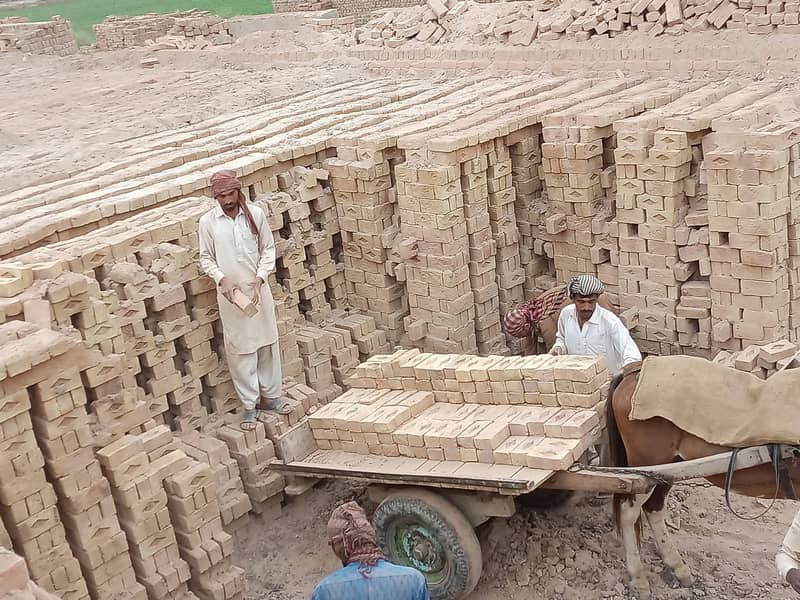المدینہ برکس کمپنی – معیاری اینٹیں براہِ راست بھٹہ سے 6
