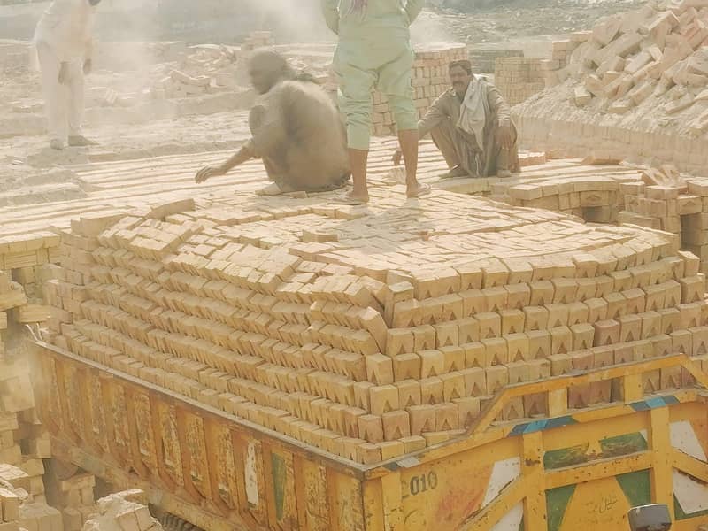 المدینہ برکس کمپنی – معیاری اینٹیں براہِ راست بھٹہ سے 9