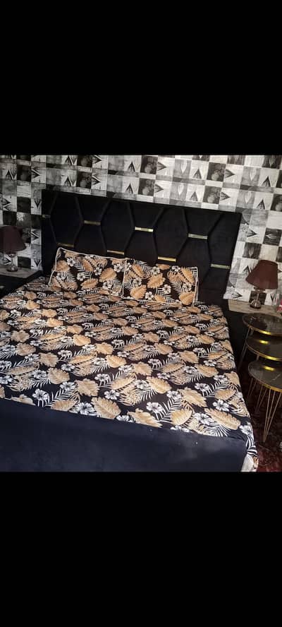 contect 03111728822