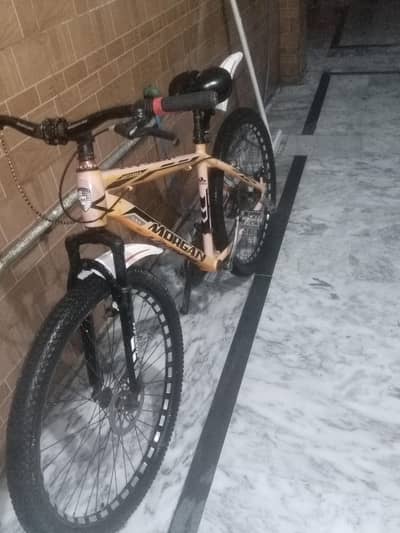 Morgan  cycle
