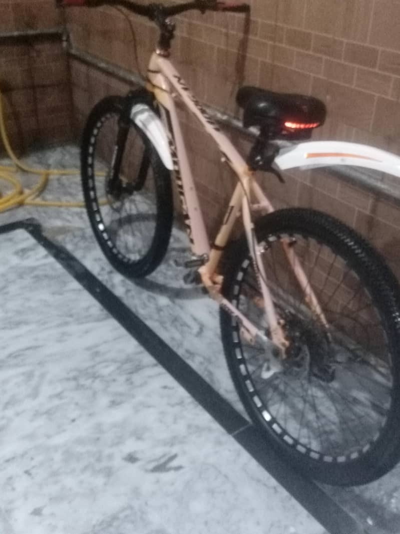 Morgan  cycle 2