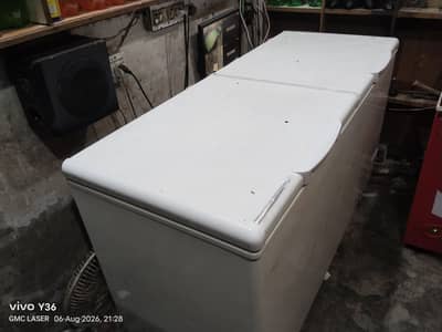 Haire D. freezer
