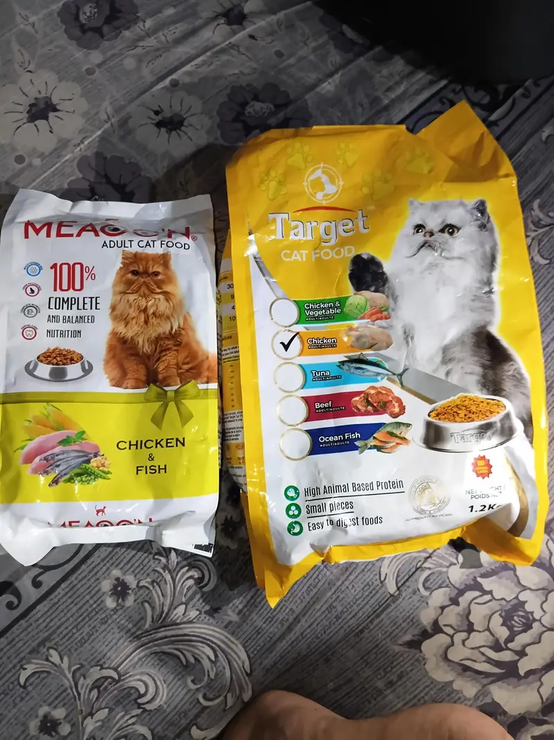 Cat Food Available — photo 3