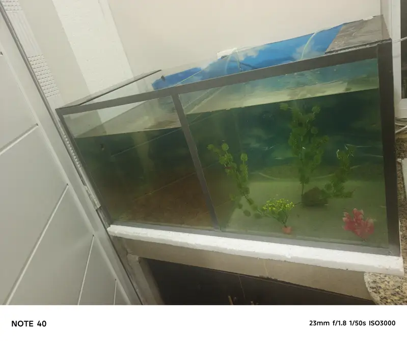 New Aquarium 6mm Glass
