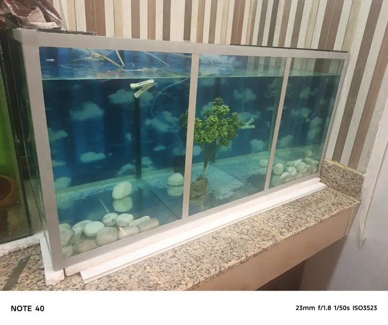 New Aquarium 6mm Glass — photo 2