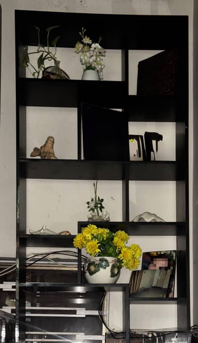 beautiful book shelf
