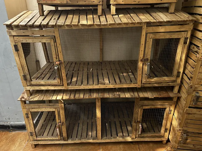 Handmade Birds Pet Cages — photo 4