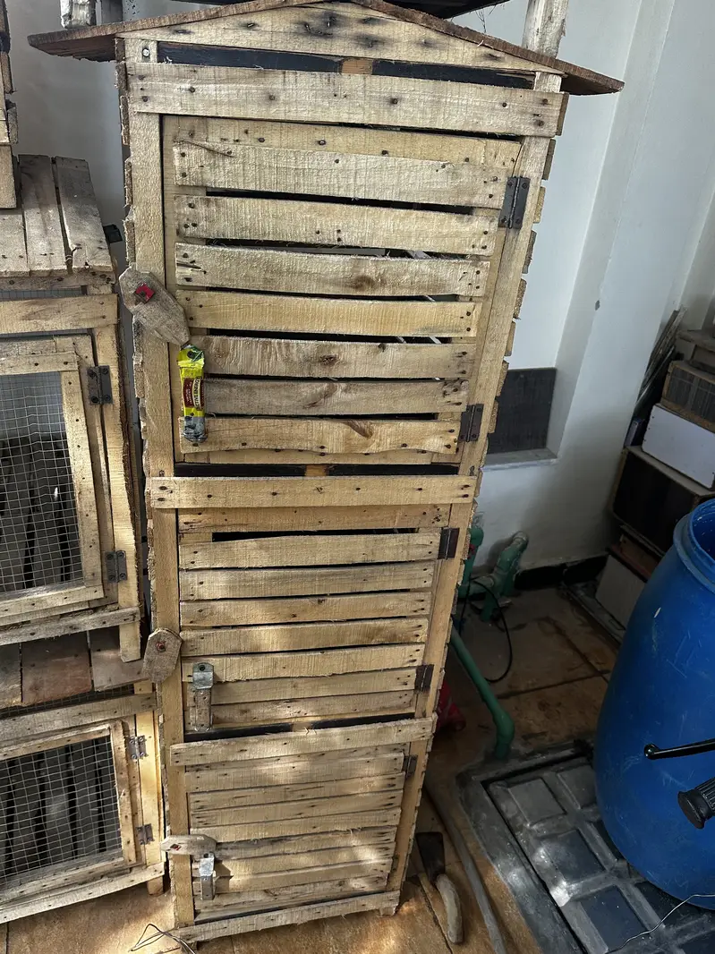 Handmade Birds Pet Cages — photo 5
