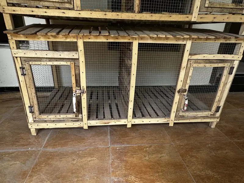 Handmade Birds Pet Cages — photo 7