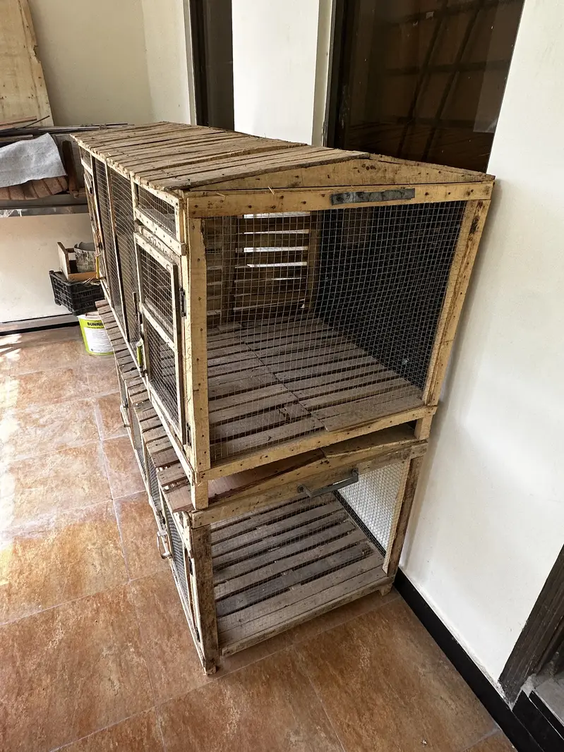 Handmade Birds Pet Cages — photo 9