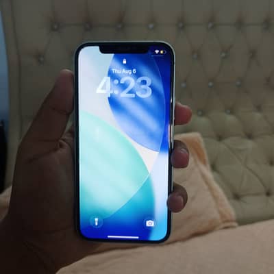 Apple iPhone 12 jv