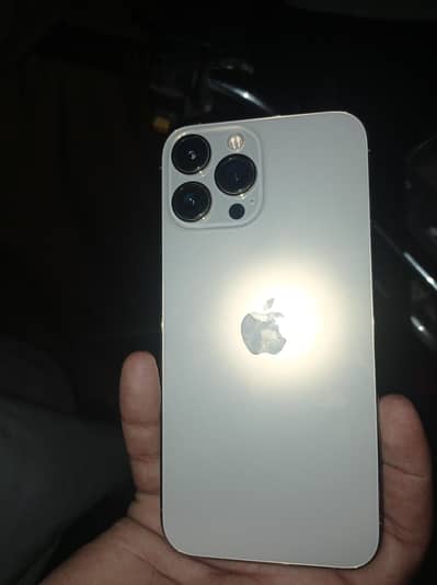 Apple iPhone 13 Pro Max