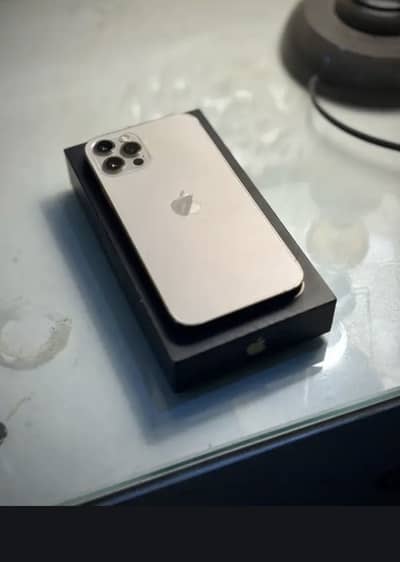 Apple iPhone 12 Pro Max