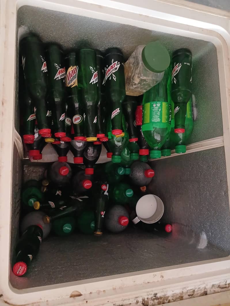 Freezer 4