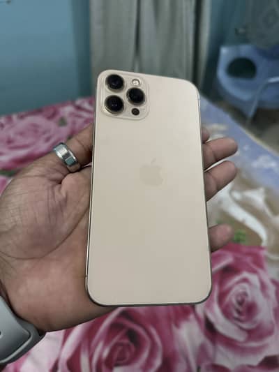 Apple iPhone 12 Pro Max