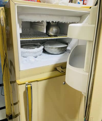 Waves Refrigerator