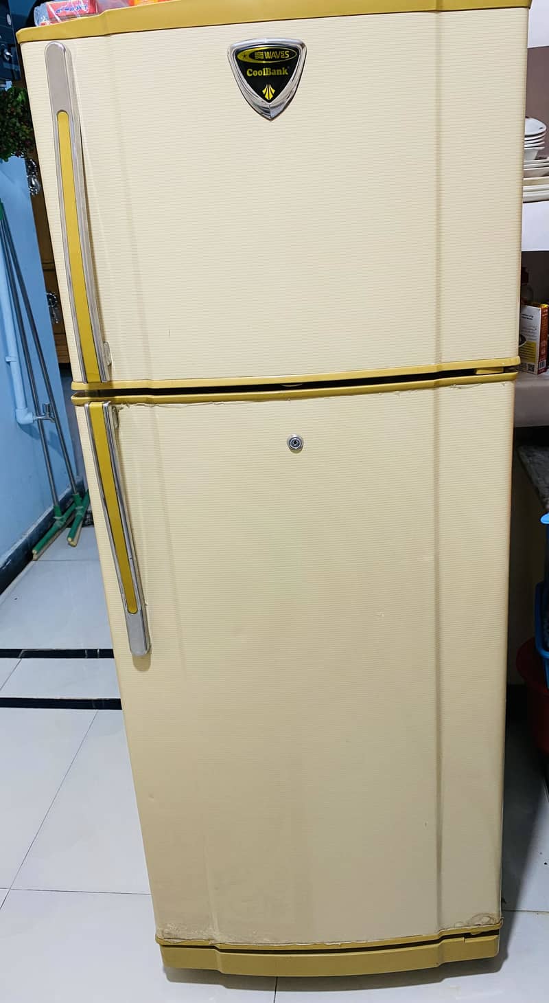 Waves Refrigerator 1