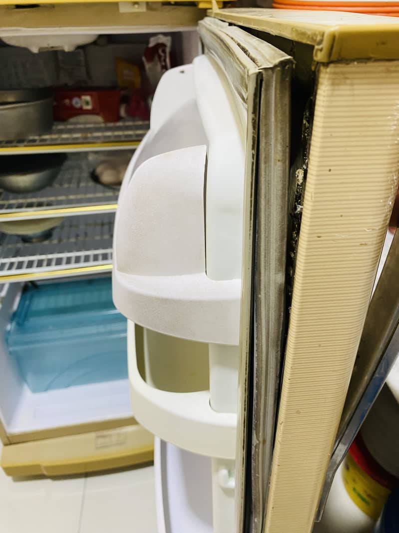 Waves Refrigerator 2