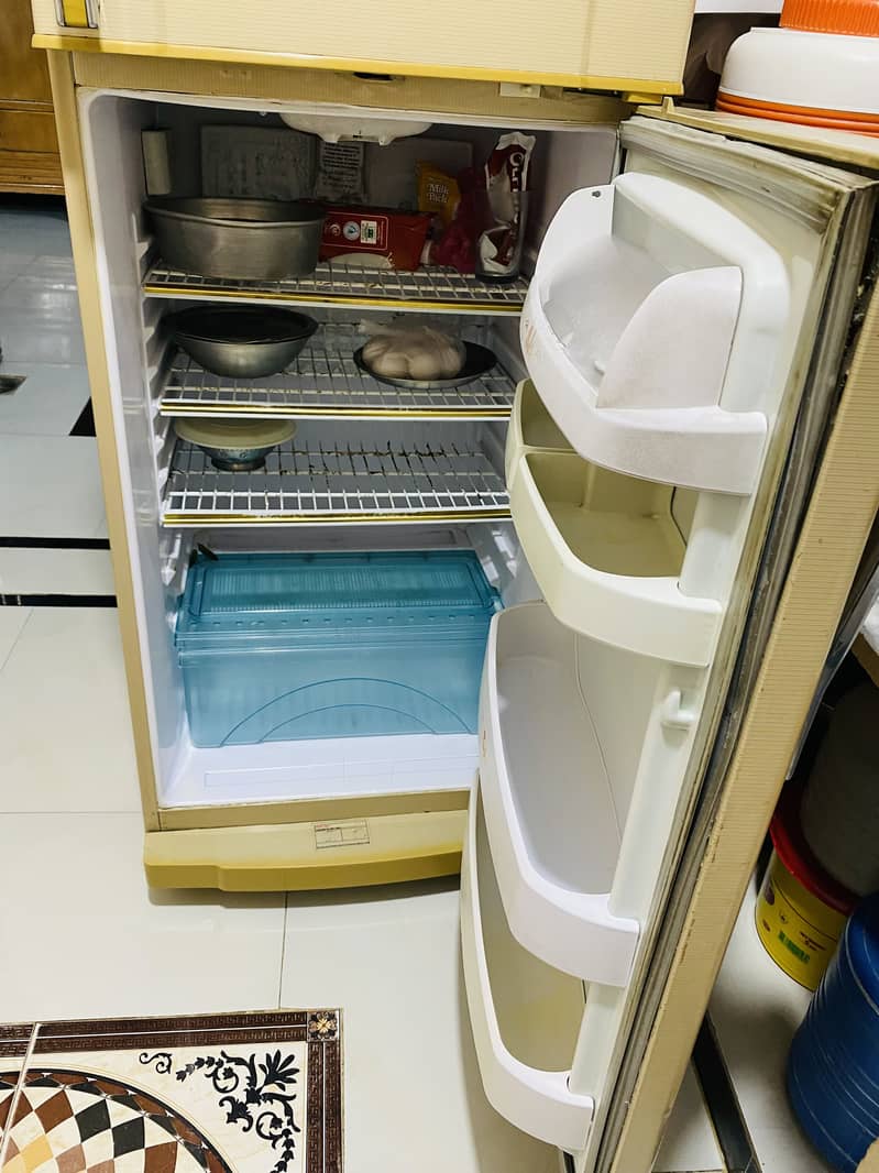 Waves Refrigerator 4