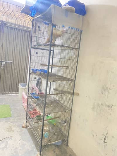 Cage for big parrots