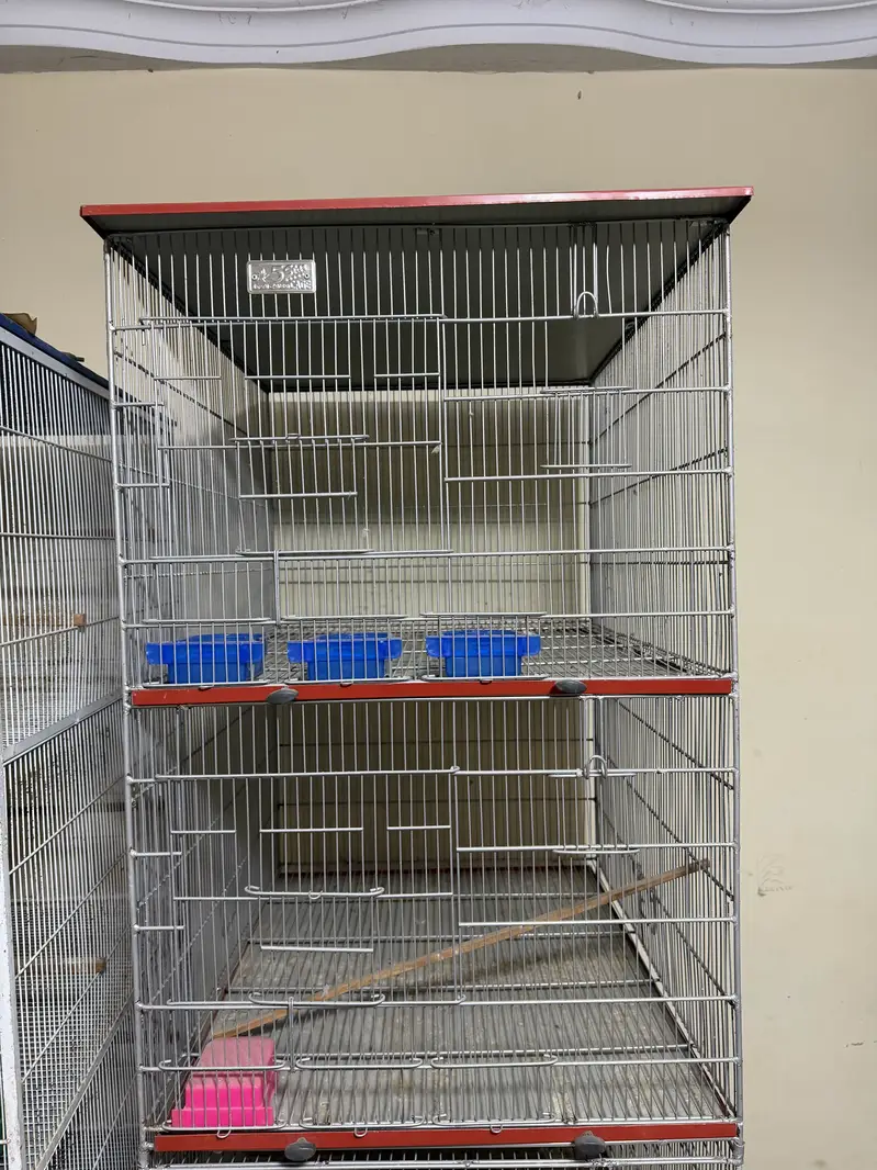 Birds cages portion cages — photo 2