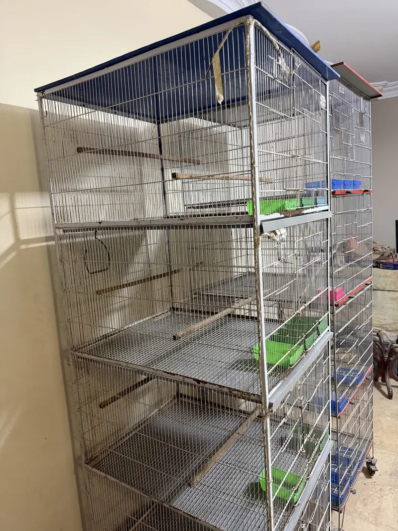 Birds cages portion cages — photo 3