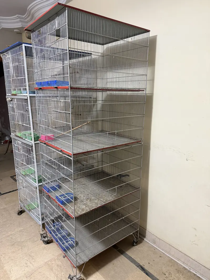 Birds cages portion cages — photo 4