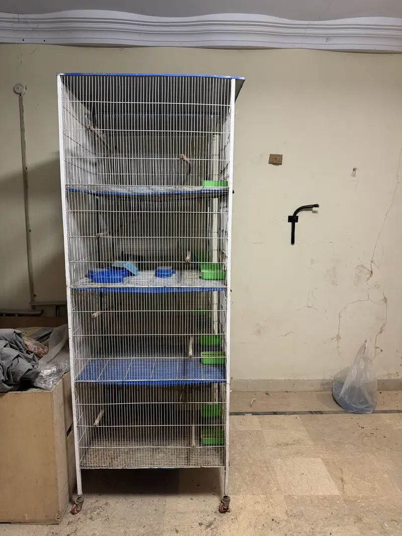 Birds cages portion cages — photo 6