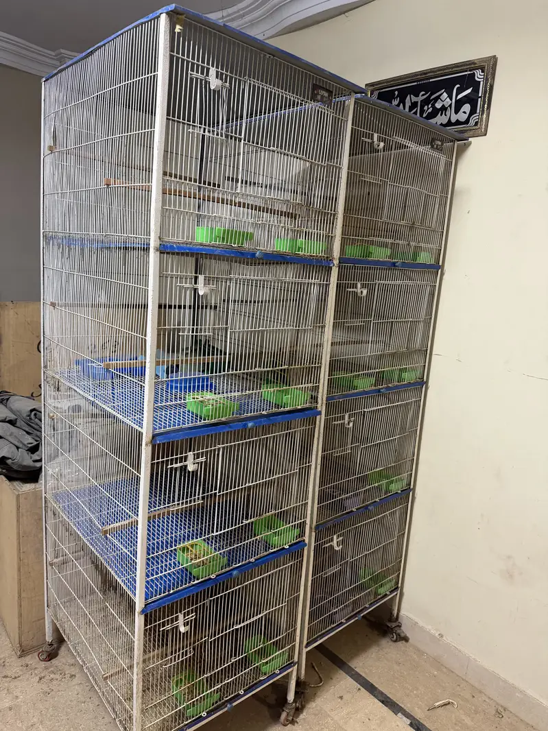 Birds cages portion cages — photo 7