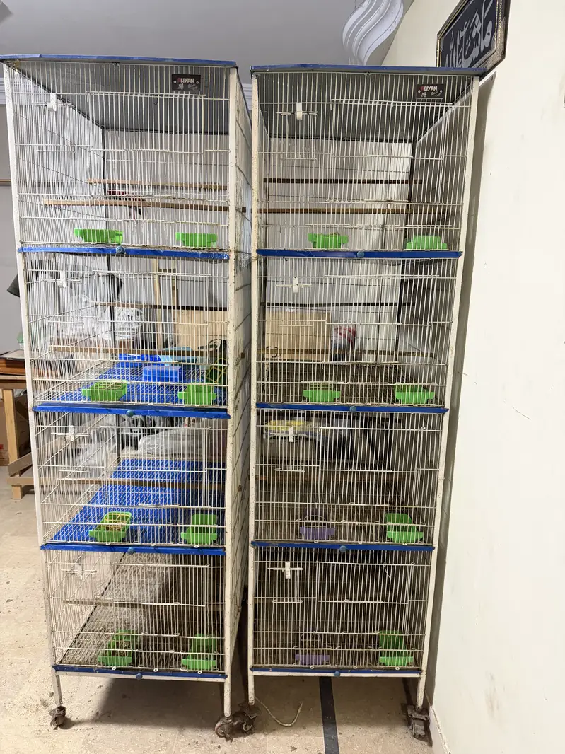 Birds cages portion cages — photo 8