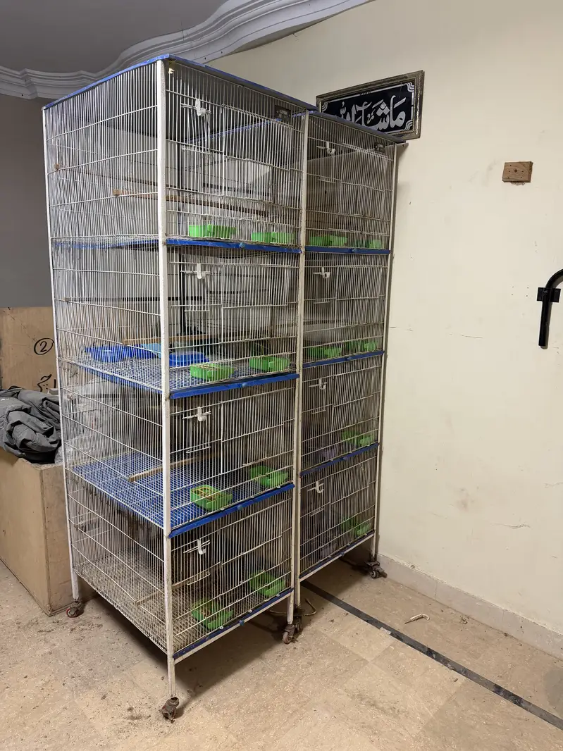 Birds cages portion cages — photo 9