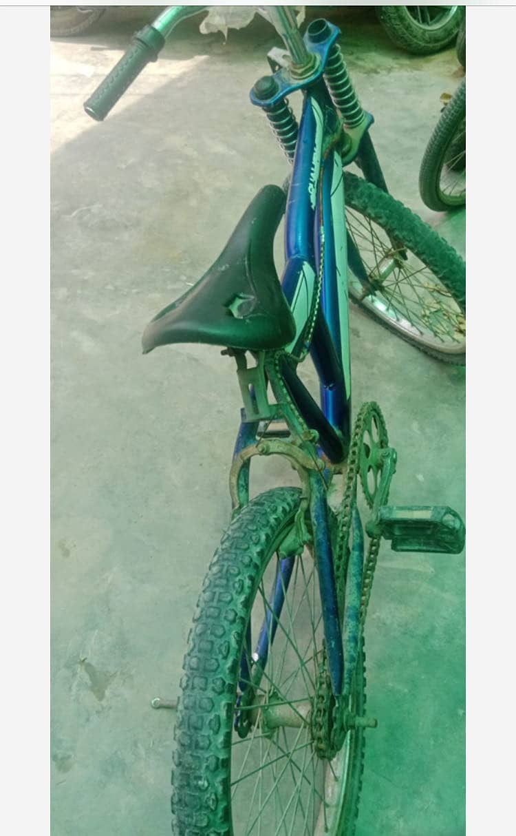 cycle 1