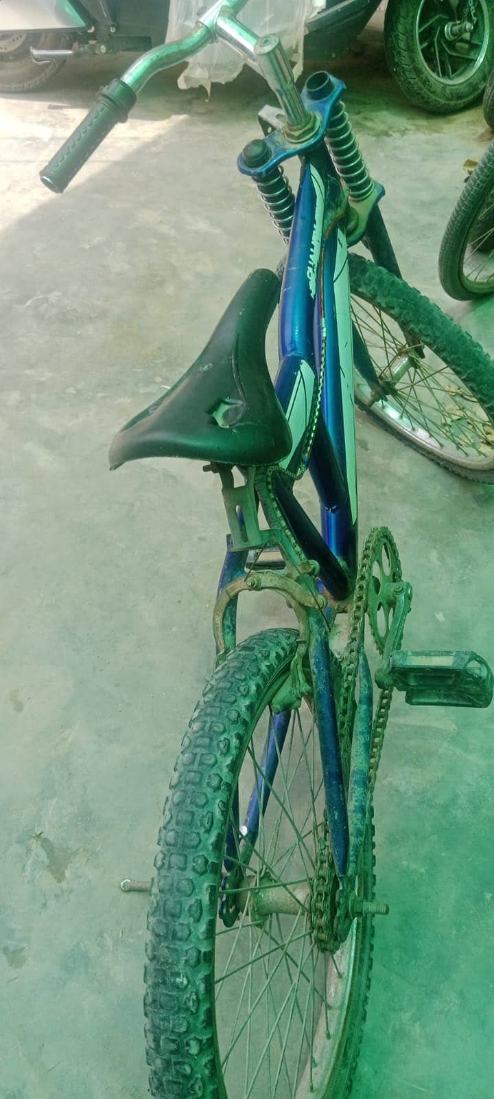 cycle 5