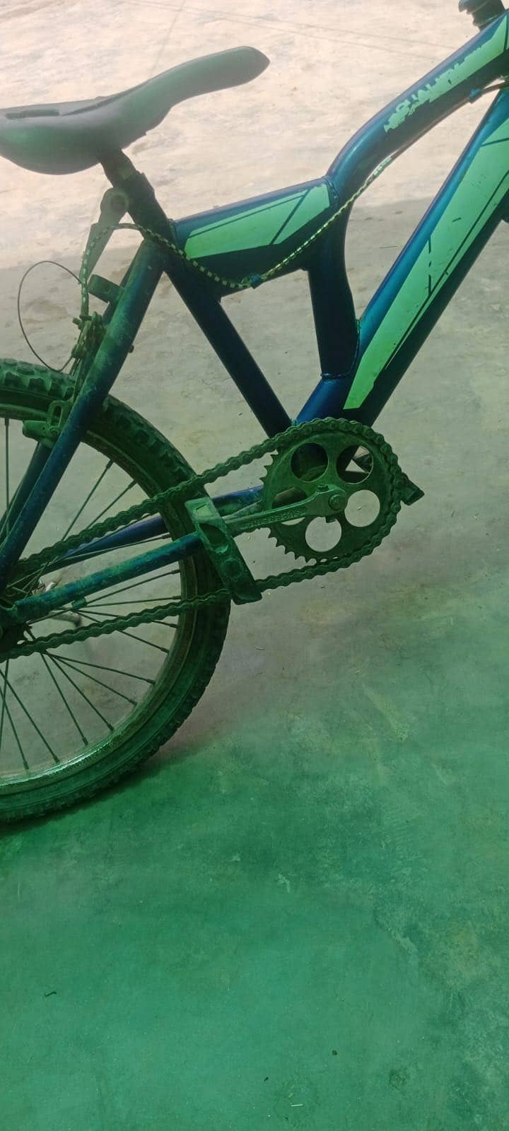 cycle 8