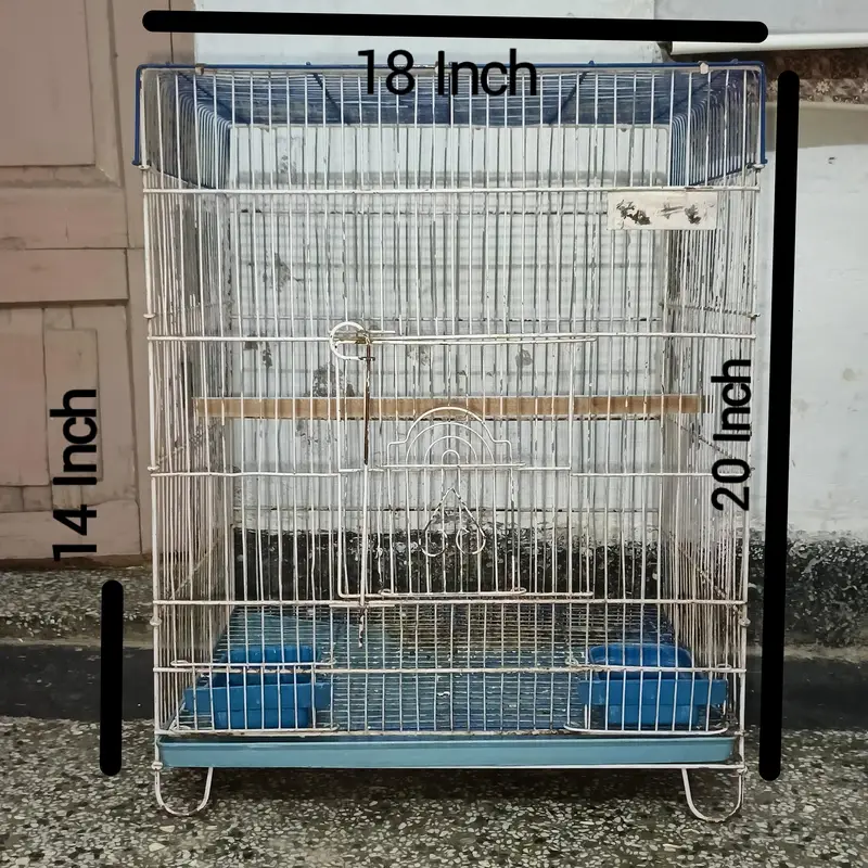 Birds Cage — photo 2
